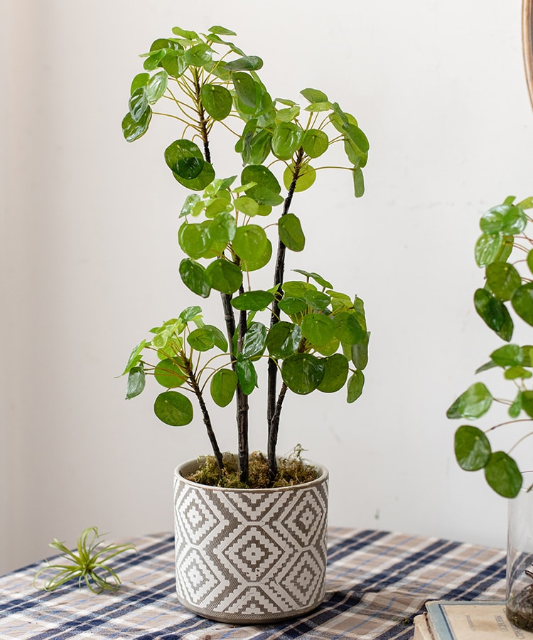 Artificial Potted Pilea Plant 26" Tall