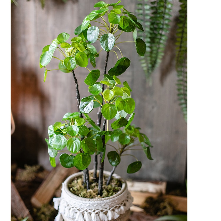 Artificial Potted Pilea Plant 26" Tall