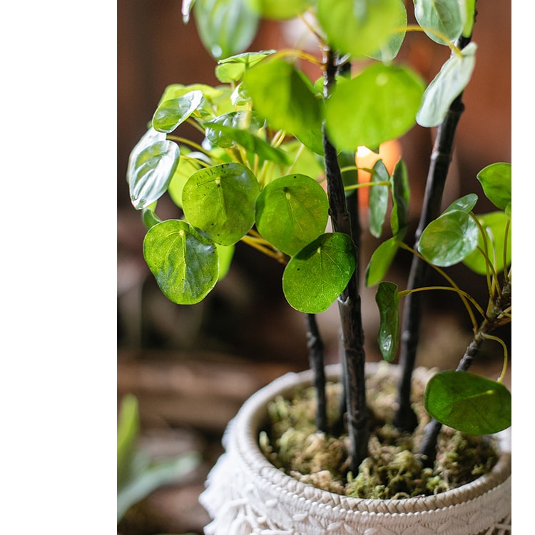 Artificial Potted Pilea Plant 26" Tall