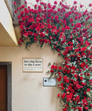 Artificial Red Rose Climbing Garland for Walls by RusticReach