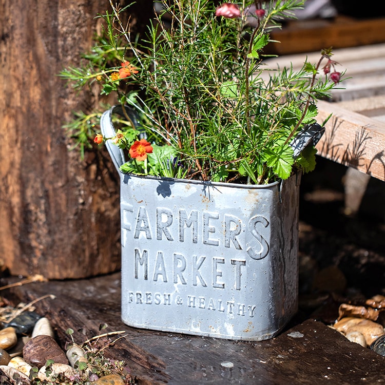 Rectangular Flower Pot Gray Farmers Market