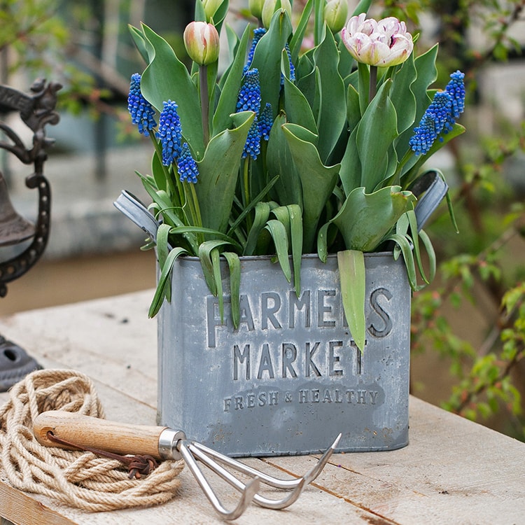 Rectangular Flower Pot Gray Farmers Market