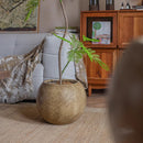 Round Magnesium Clay Planter