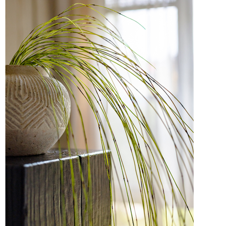 Artificial Rough Horsetail Thin Vine Ikebana