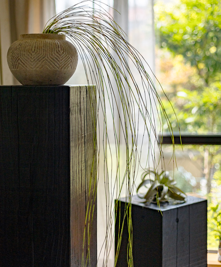 Artificial Rough Horsetail Thin Vine Ikebana