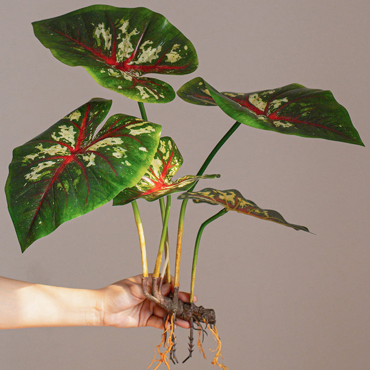 Faux Artificial Rooted Bunch Alocasia 19" Tall