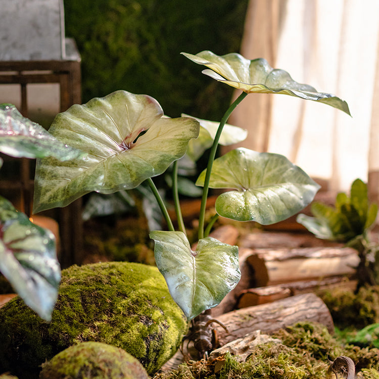 Faux Artificial Rooted Bunch Alocasia 19" Tall