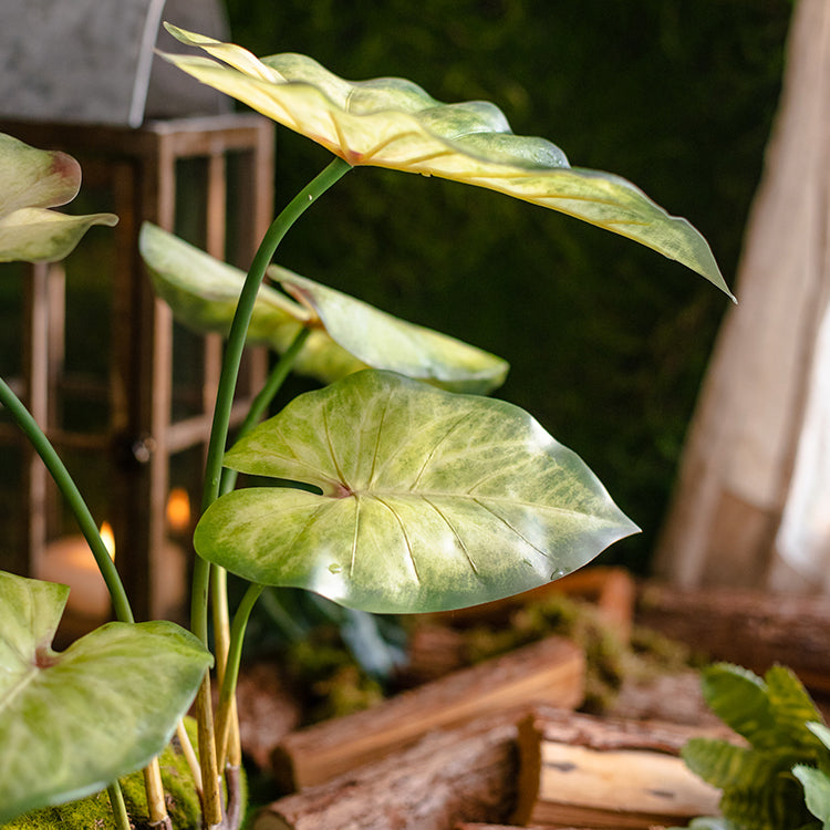 Faux Artificial Rooted Bunch Alocasia 19" Tall