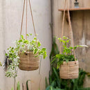 Faux Rattan Cement Hanging Planter