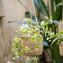 Faux Rattan Cement Hanging Planter
