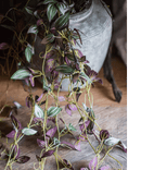 Artificial Small Leaf Vine 40" Long