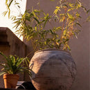 Sierra Round Pot Planter