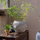 Sierra Round Pot Planter