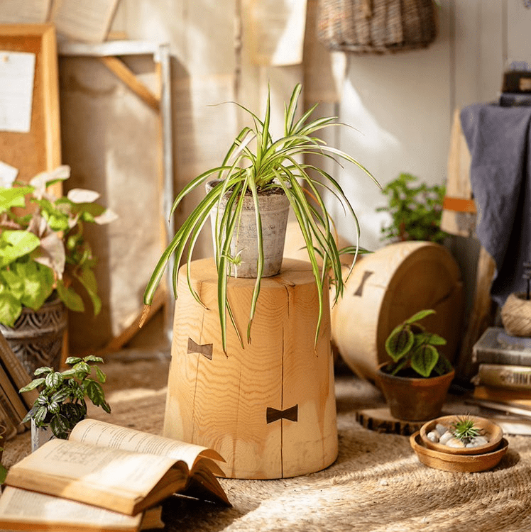 Solid Wood Natural End Table, photo 3 of 10
