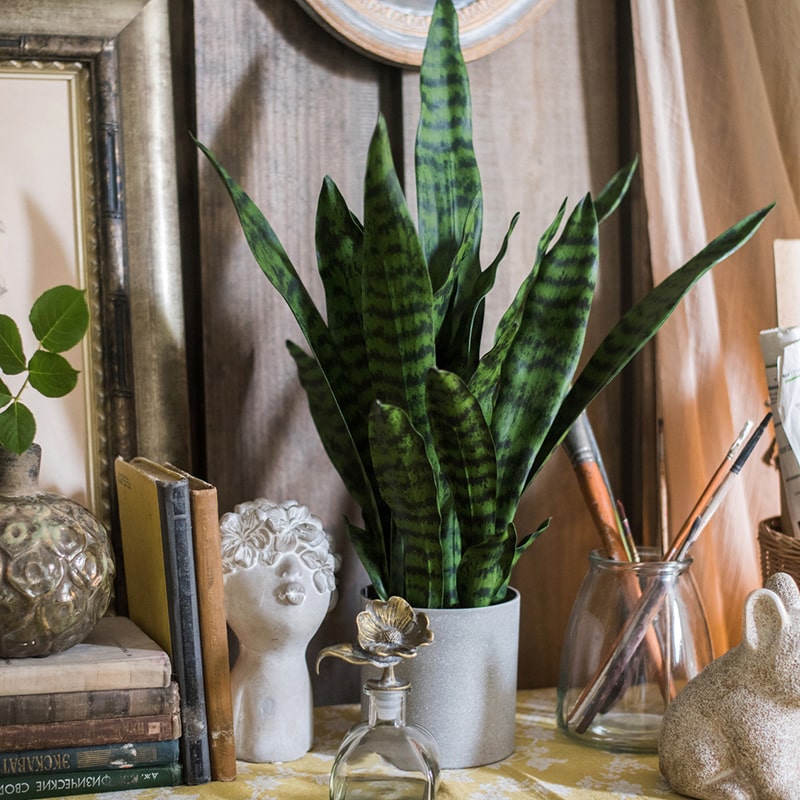 Faux Artificial Snake Plant In Pot Green