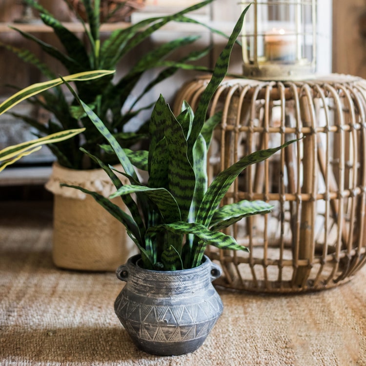 Faux Artificial Snake Plant In Pot Green