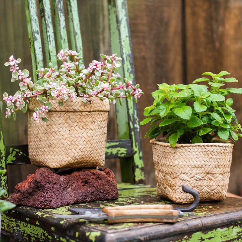 Straw Basket Style Concrete Planter