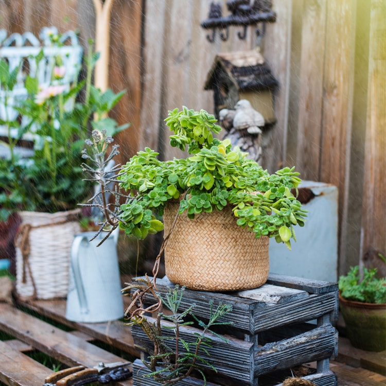 Straw Basket Style Concrete Planter