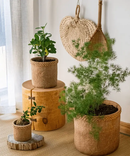Straw Looking Concrete Planter by RusticReach