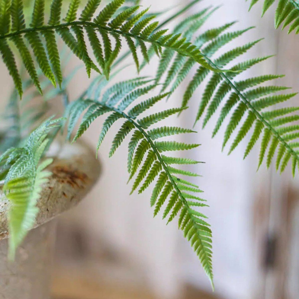 Artificial Tall Fern Leaf Stem, photo 12 of 15