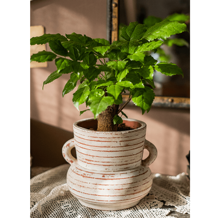 Terracotta Planter Vase with Handles, photo 2 of 14
