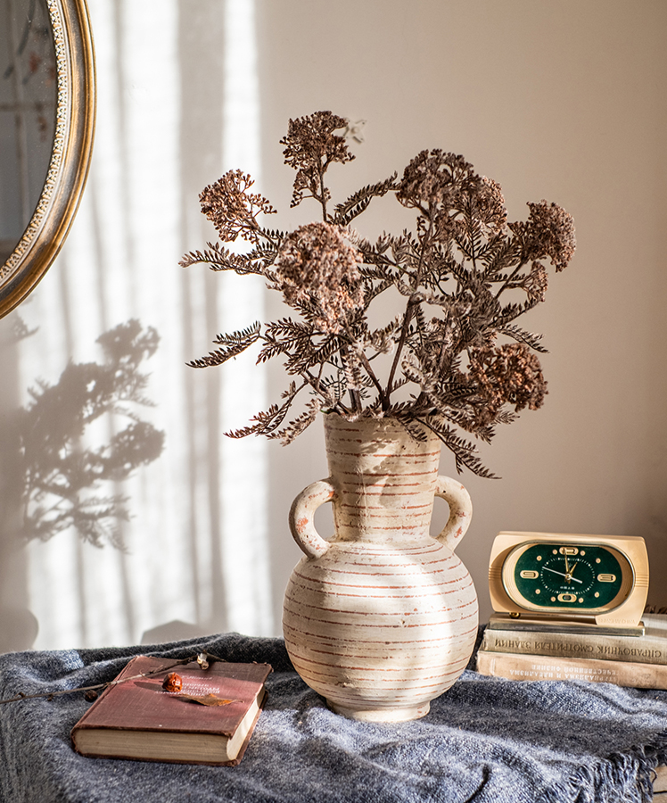 Terracotta Planter Vase with Handles