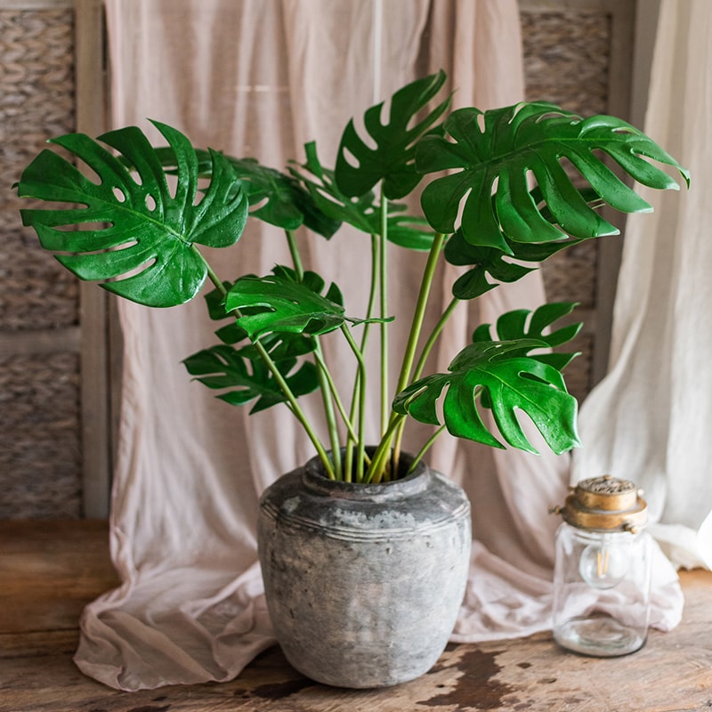 Artificial Faux Real Touch Turtle Leaf Stem Bunch