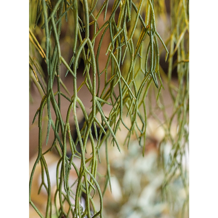 Artificial Faux Usnea Vine Stem 22" Long