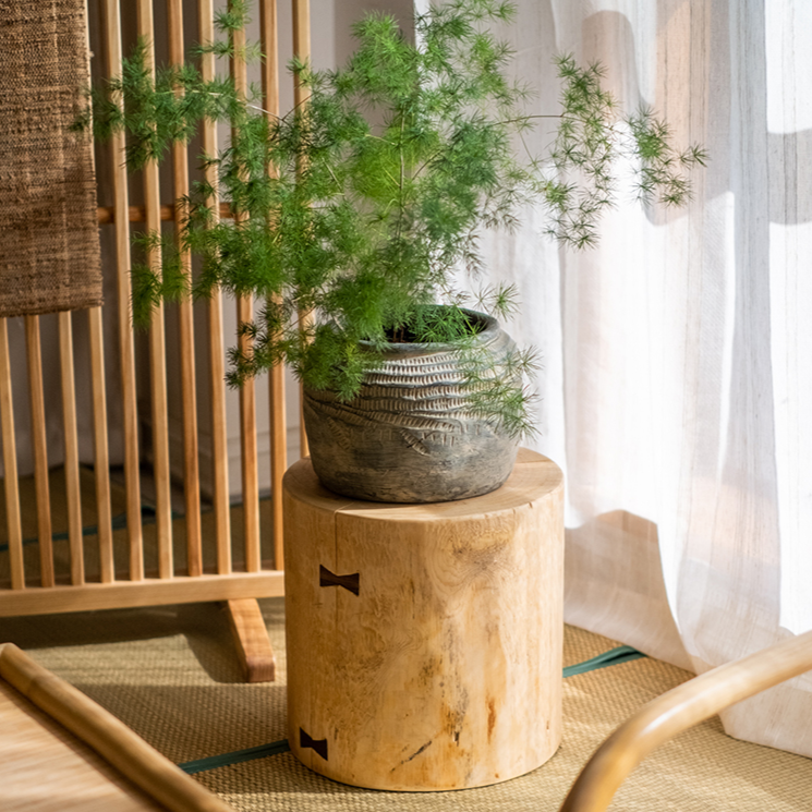 Pine Wood Pedestal Table Side Table