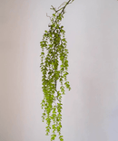 Petite Foliage Weeping Fern Sprig