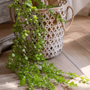 Petite Foliage Weeping Fern Sprig