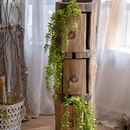 Petite Foliage Weeping Fern Sprig