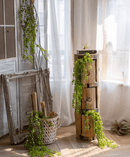 Petite Foliage Weeping Fern Sprig