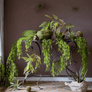 Petite Foliage Weeping Fern Sprig