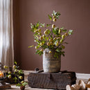 Wild Garden Faux Fig Stem 35.4" Tall