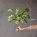 Wild Garden Greenery Bunch 22" Tall by RusticReach