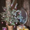 Cedar Fir Tree Snow Flocked Christmas Tree in Paper Wrapped Base