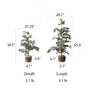 Silver Fir Tree Snow Flocked Christmas Tree in Artificial Moss Base