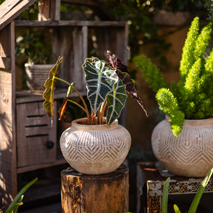 Yukun Terracotta Planter Pot