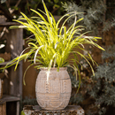 Yukun Terracotta Planter Stoneware