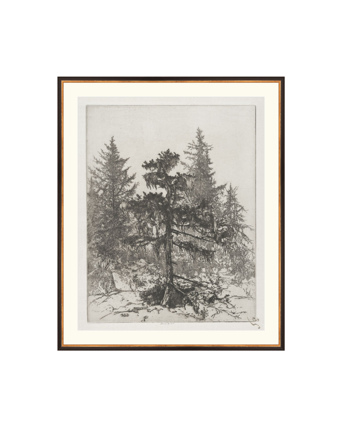 Pine Etching, photo 19 of 38