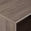 70" Modern Rattan Door Fireplace Console