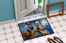 Pelican Brothers Doormat Indoor Outdoor 24H X 36W Front Door Mat Rugs for Entryway, Non Slip Washable Low Pile,