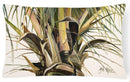 Top Coconut Tree Decorative Throw Pillow 12x16 Indoor Outdoor Accent Cushion, Fabric Cover with Insert for Sofa, Bed, Porch & Living Room