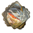 Alligator Coasters - Set of 4 Lightweight Foam, Absorbent Drink Coasters JMK1208FC