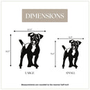Jack Russell Terrier