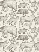James Wallpaper by Loomwell Home Goods