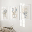 Ocean Animal Prints. Jellyfish, Lobster, Corals Wall Art by Wall Art Set