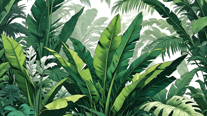 Rainforest Jungle Wallpaper. Banana Leaf Wall Mural.