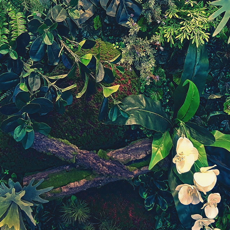 Jungle Wallpaper, Forest Greenery Botanical Wall Mural.